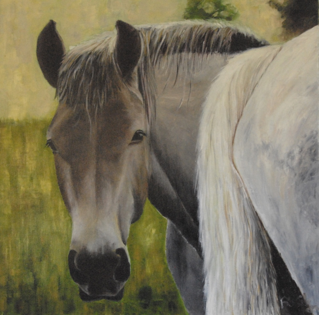 Une joile t&ecirc;te 60x60