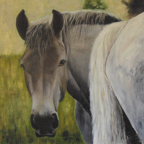 Une joile t&ecirc;te 60x60
