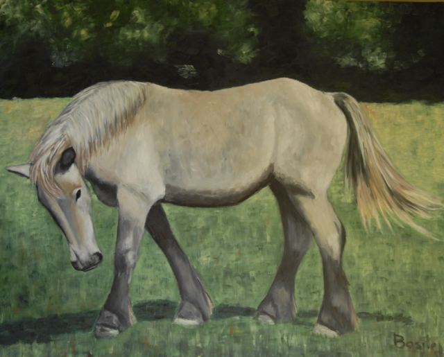  Jeune cheval gris 80x100