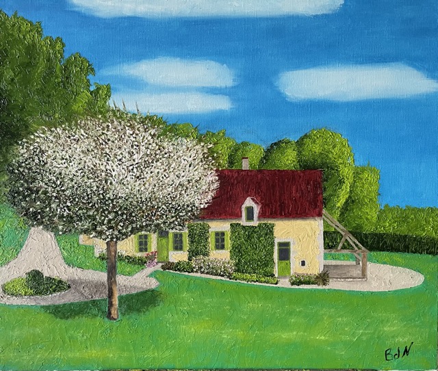 50x60